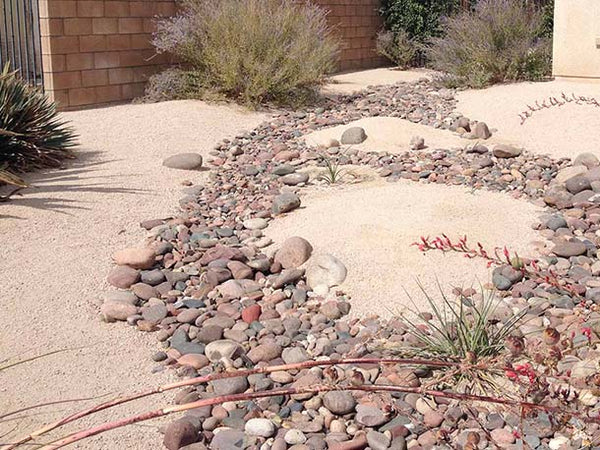 Desert-style front yard with decomposed granite