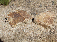 Golden Queen Granite
