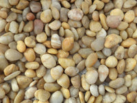 Gold Polished Pebbles