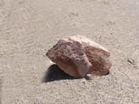 Champagne Granite