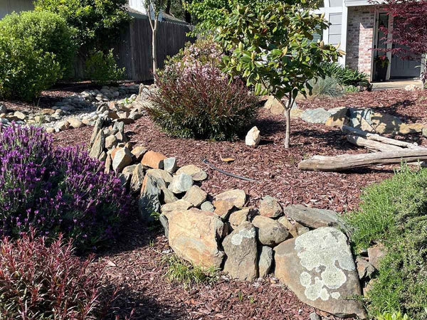 Landscape boulders used as garden accents