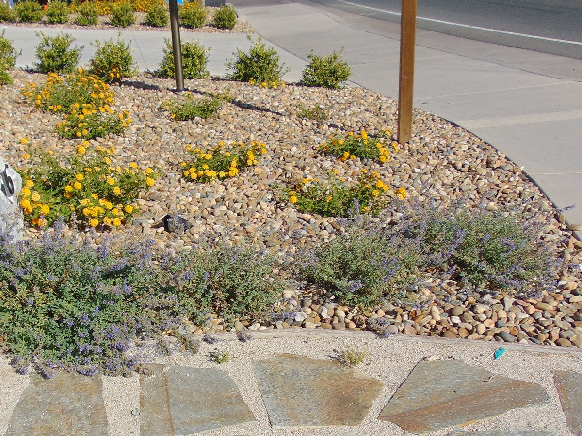 Pea gravel garden path