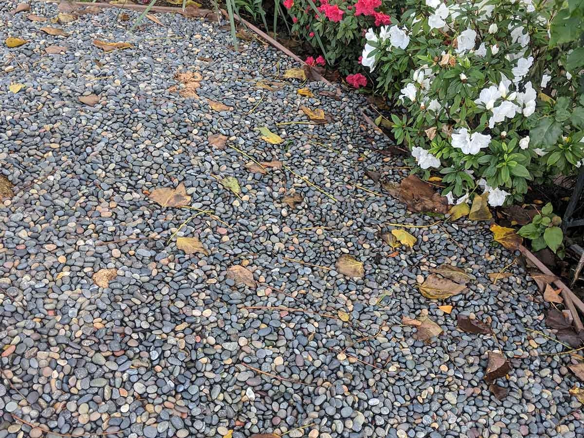 Pebbles used around succulents