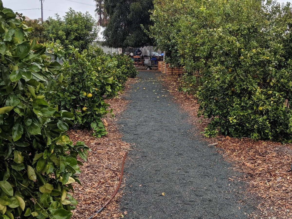 Monsoon Season Decomposed Granite