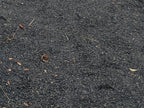 Monsoon Season Decomposed Granite