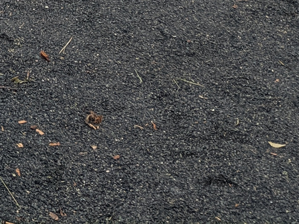 Monsoon Season Decomposed Granite