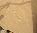 Arizona Gold Buckskin Flagstone