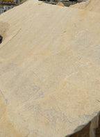 Arizona Gold Buckskin Flagstone Standup 1" grade, large select flagstone slabs stood on edge and strapped for delivery