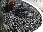 Black Polished Pebbles
