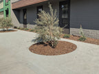 Blue Decomposed Granite