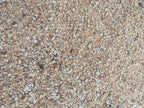 Palomino Gold Decomposed Granite