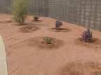 Sedona Coral Decomposed Granite