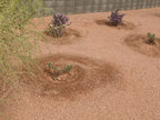 Sedona Coral Decomposed Granite