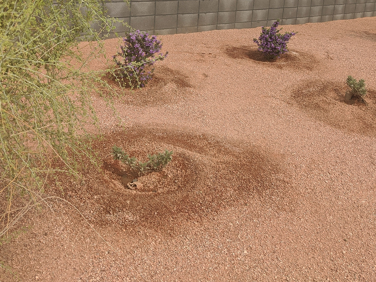Sedona Coral Decomposed Granite