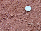Sedona Coral Decomposed Granite