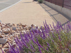 Apache Sunset Decomposed Granite