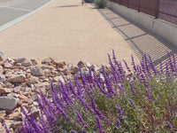 Apache Sunset Decomposed Granite