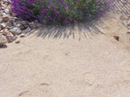 Apache Sunset Decomposed Granite