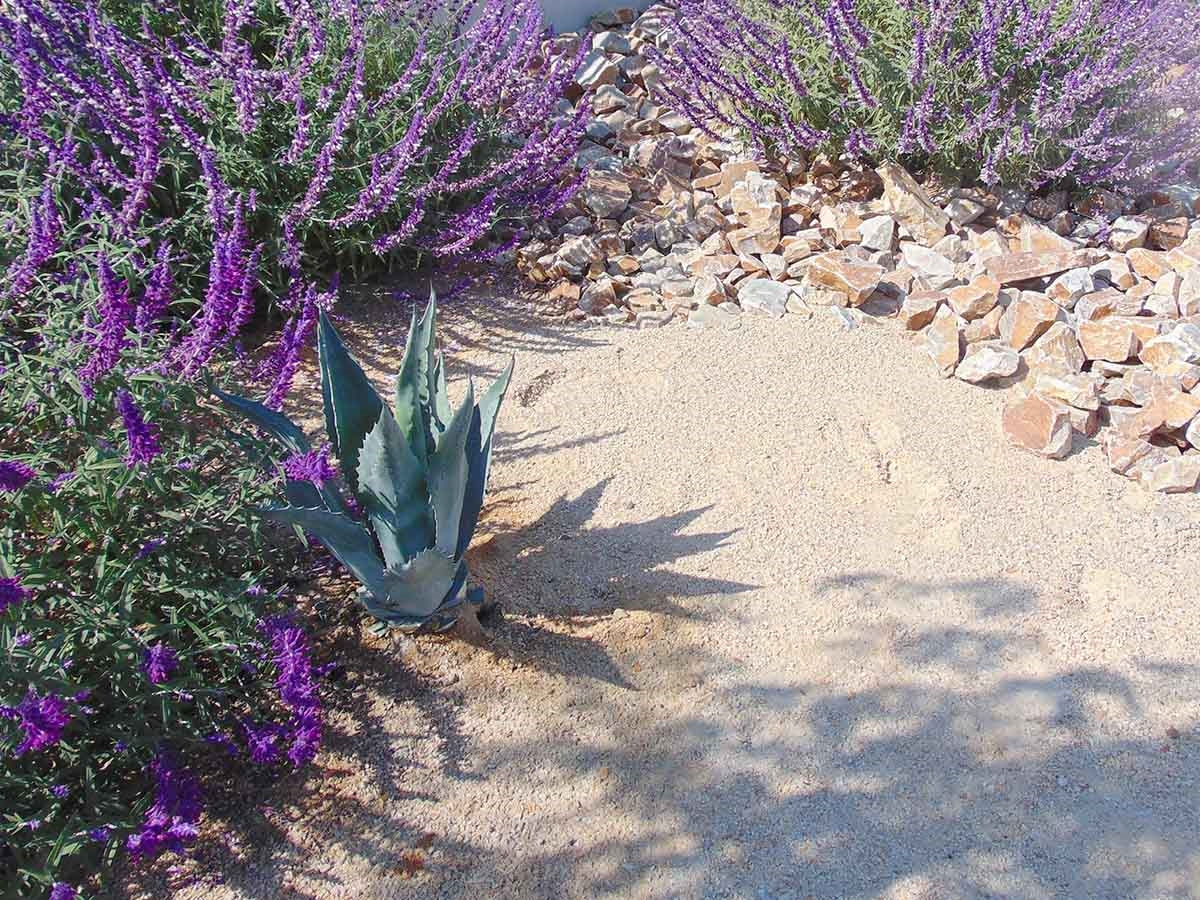 Apache Sunset Decomposed Granite