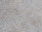 Apache Sunset Decomposed Granite