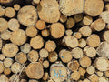 Douglas Fir Logs