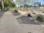 Golden Queen Decomposed Granite