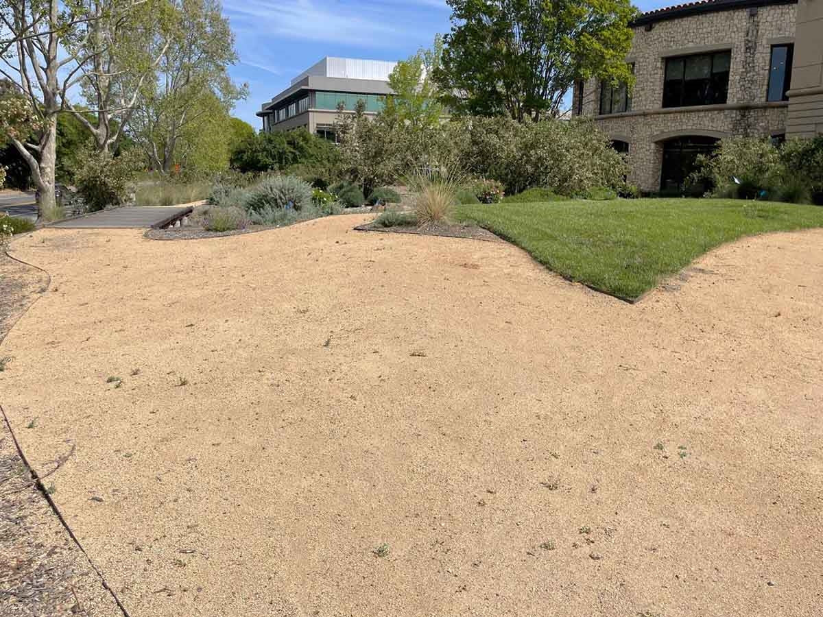 Golden Queen Decomposed Granite