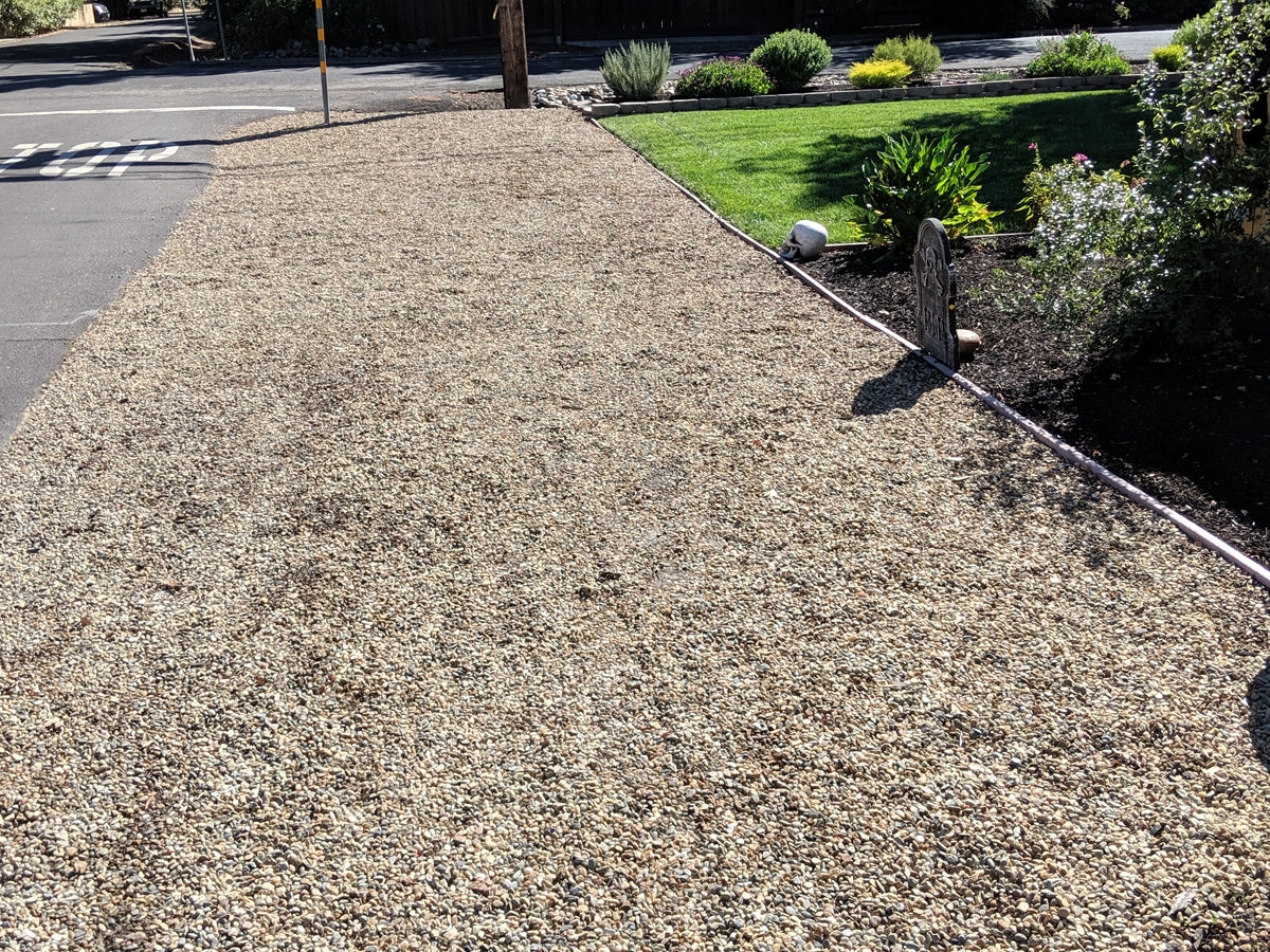 Lodi Gold River Rock
