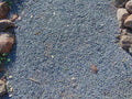 Blue Moon Decomposed Granite