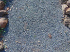 Blue Moon Decomposed Granite