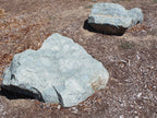Catalina Cove Green