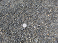 Black Hawk Decomposed Granite
