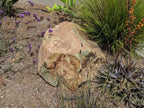 Irish Gold Granite