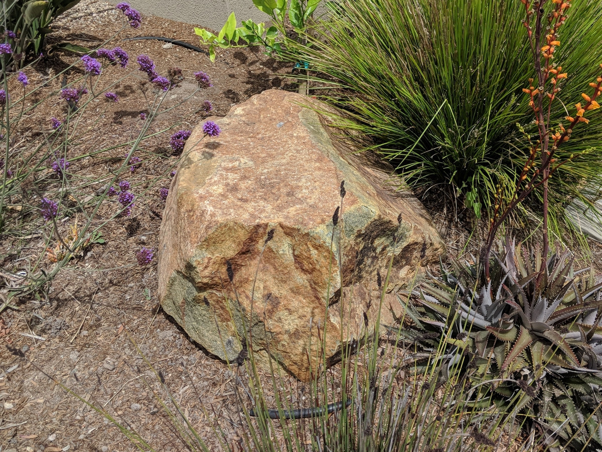Irish Gold Granite