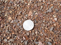 Bison Brown Decomposed Granite