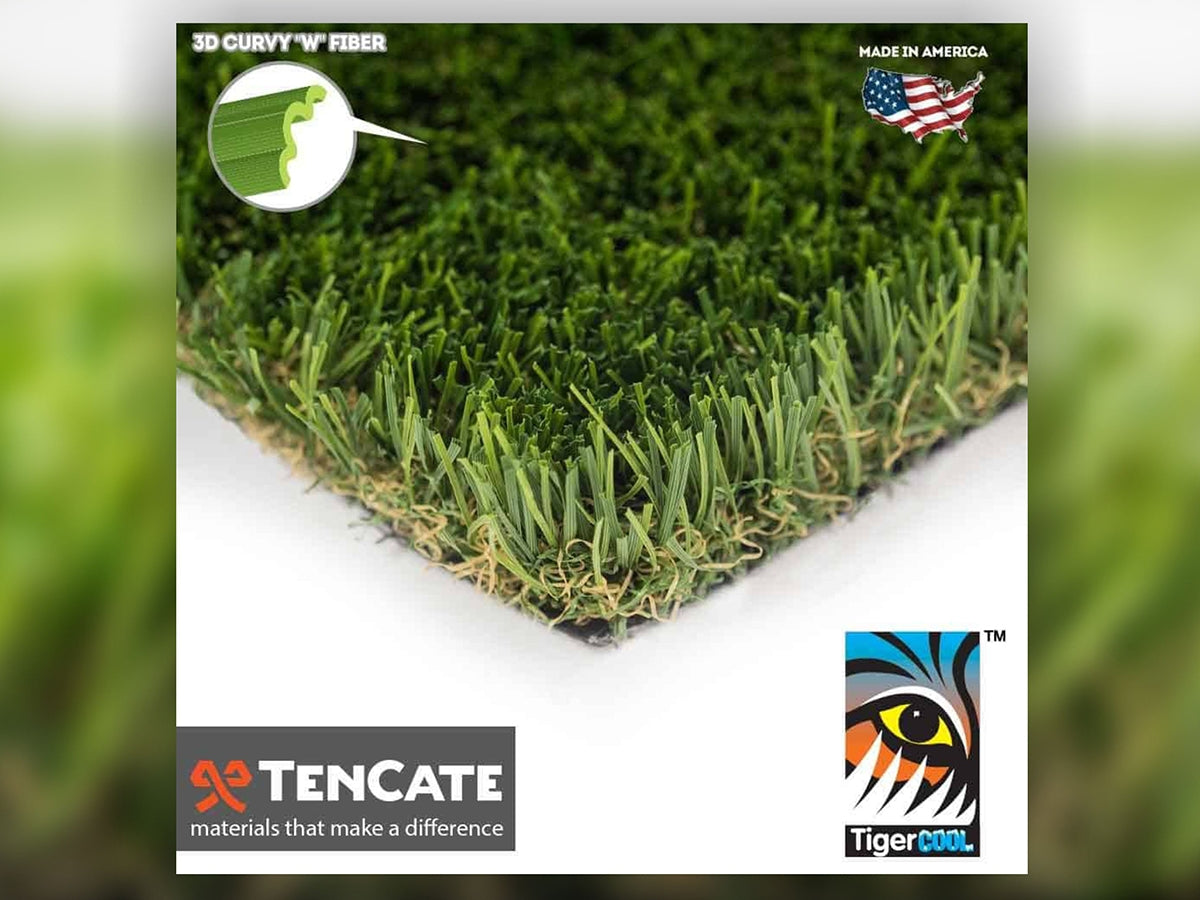 Diamond Light Fescue Grass (60 oz)