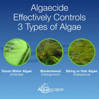 Algaecide - 16 Oz / 473 Ml – image 9