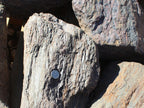 Barkwood Boulders