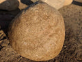 Foothill River boulders