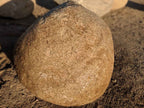 Foothill River boulders