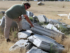 Zebra Quartzite