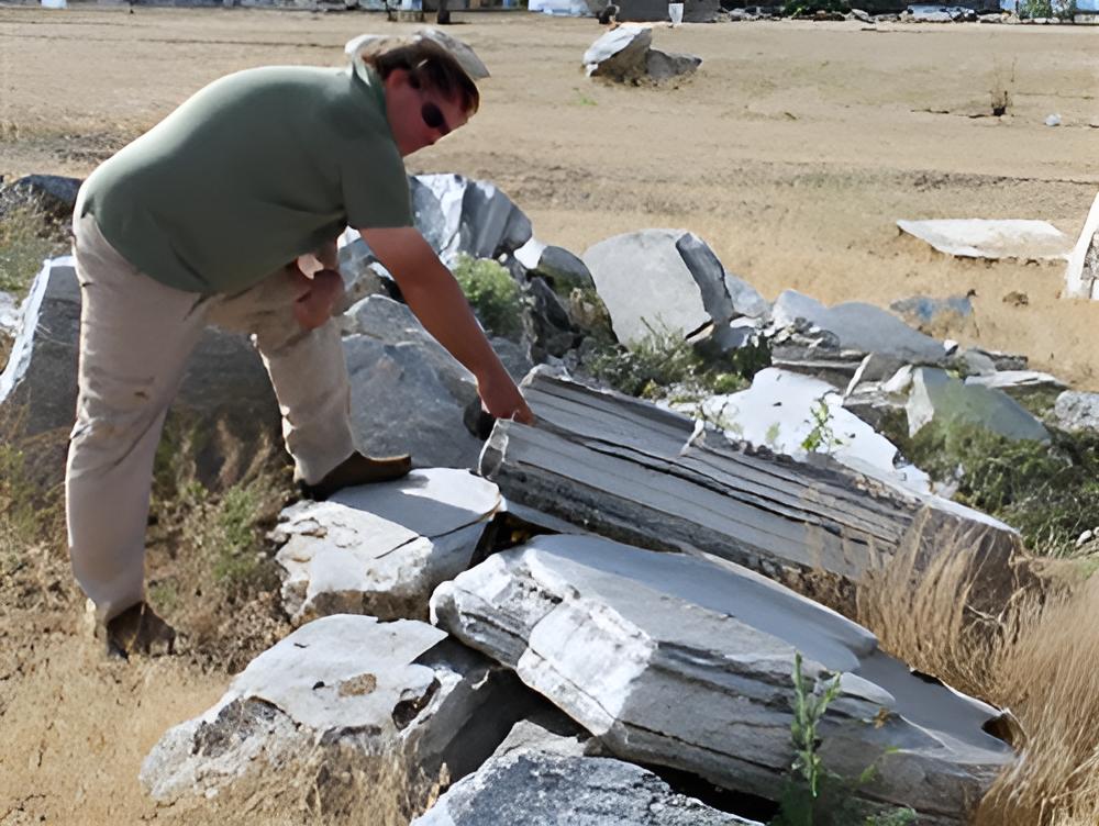 Zebra Quartzite