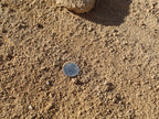 Shasta Gold Decomposed Granite