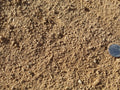 Shasta Gold Decomposed Granite
