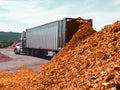 Golden Colored Mulch