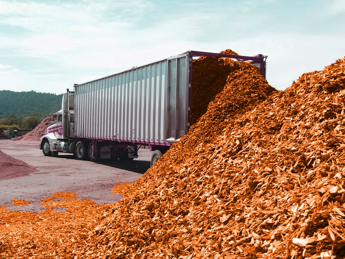 Golden Colored Mulch