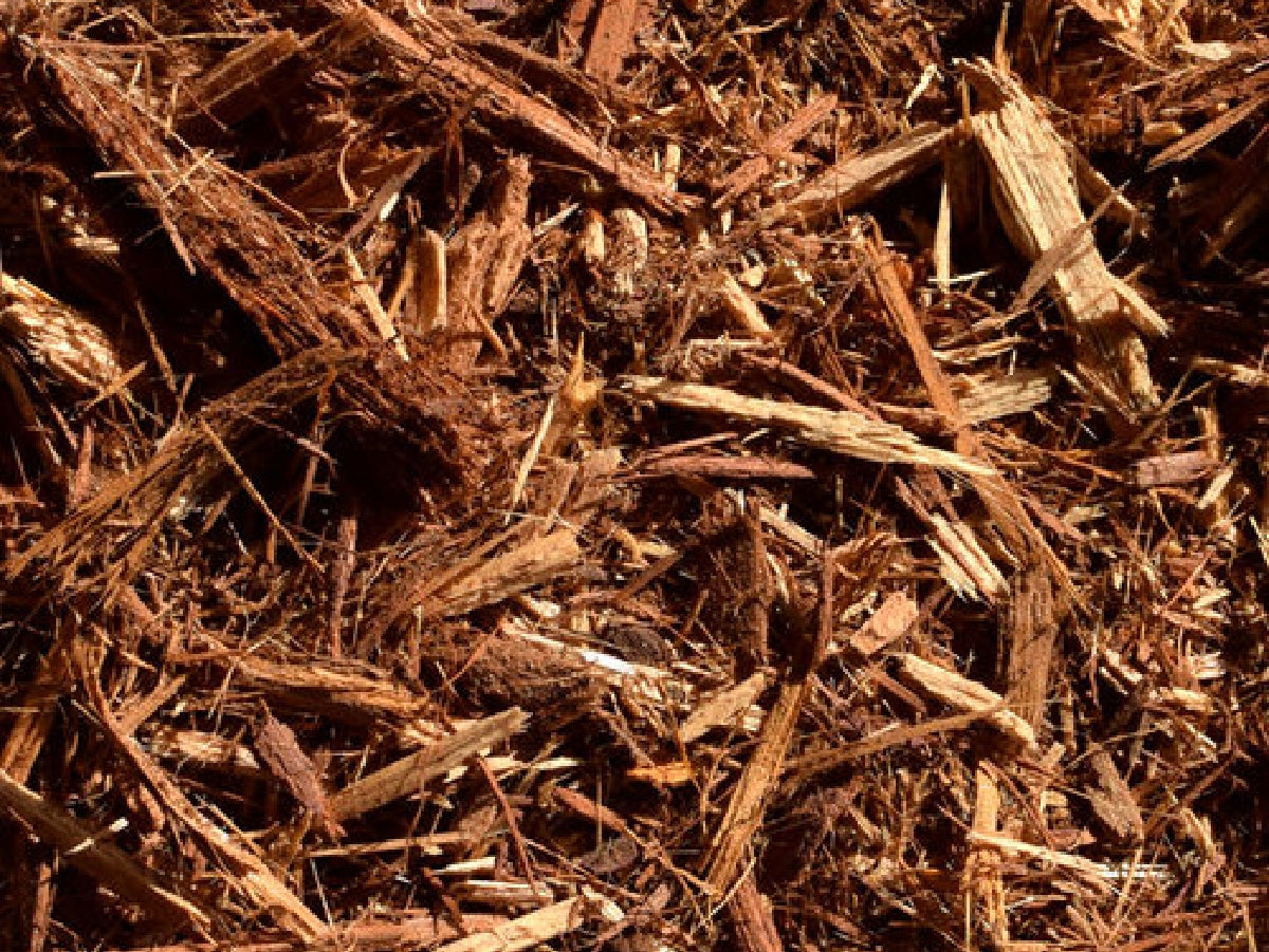 Shredded Cedar Bark