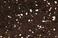 Coco Coir and Perlite Growing Media