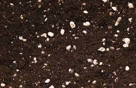 Coco Coir and Perlite Growing Media