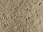 Gold Nugget Decomposed Granite